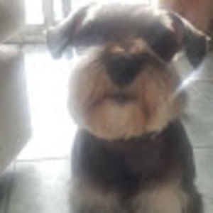 Meet your Posher, Daniela